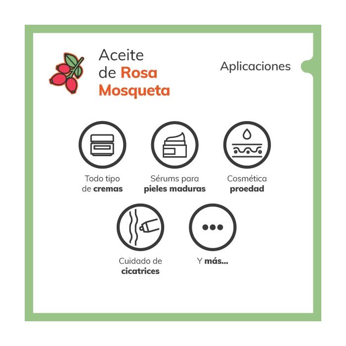 Aceite de Rosa Mosqueta, para qué sirve: aplicaciones - Jabonarium