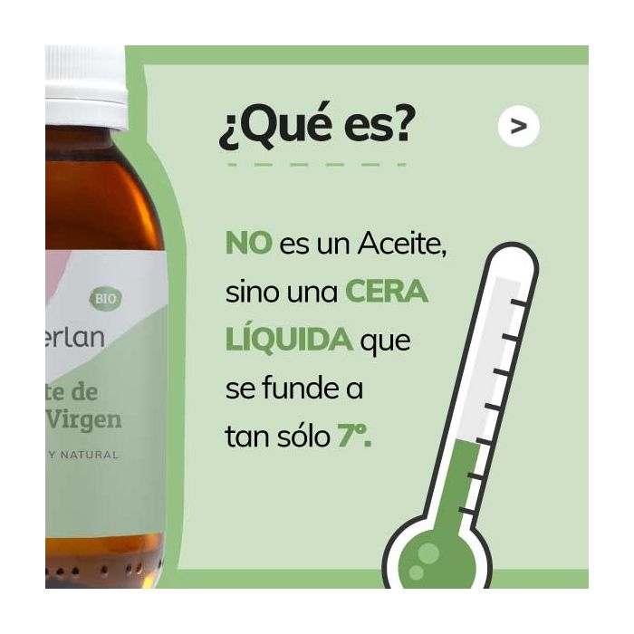 ¿Qué es el Aceite de Jojoba? - Jabonarium Cosmética Natural