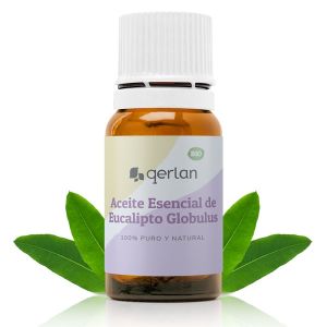 Aceite Esencial de Eucalipto Globulus Jabonarium - Aceite Cosmética Natural