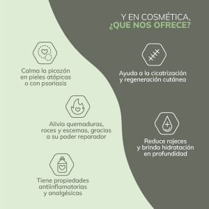 Propiedades del CBD en cosmética casera natural