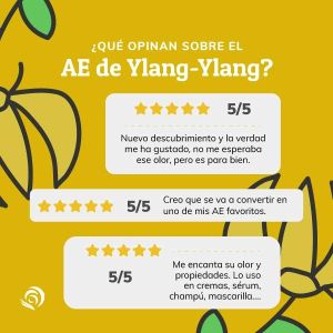 Aceite esencial de Ylang Ylang Jabonarium - Aceite Cosmética Natural