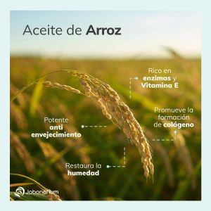 Aceite de Arroz: propiedades y beneficios - Jabonarium