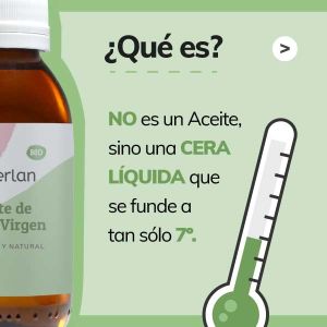 ¿Qué es el Aceite de Jojoba? - Jabonarium Cosmética Natural