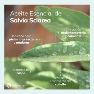 Aceite Esencial de Salvia Jabonarium - Aceite Cosmética Natural