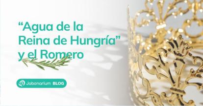 La historia detrás del Romero y el Agua de la Reina de Hungría 